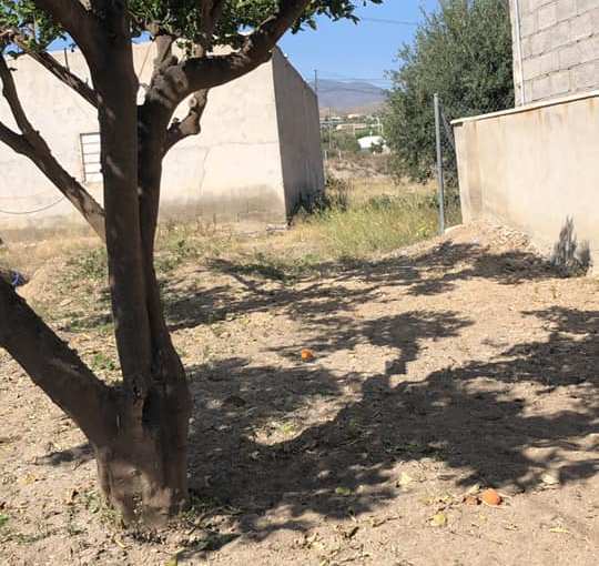 Letter from the EU No 4 – Lockdown&nbsp;Lowdown